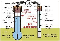 ph electrode