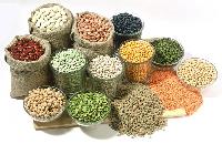 Indian Pulses