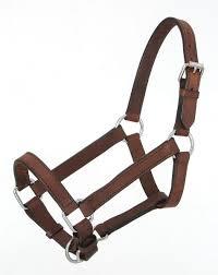 leather equestrian