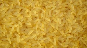 Sortex Rice