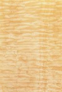 maple veneer