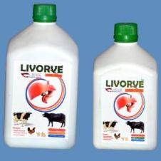 Livorve Syrup