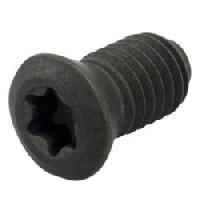 Torx Screw