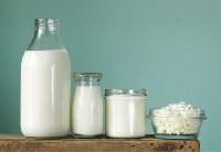 dairy ingredients