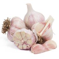 Organic Garlic