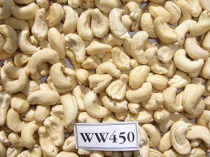 W450 Cashew Nut