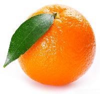 Fresh Orange