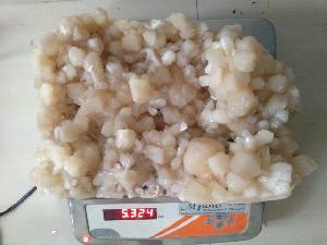 Zeolites Specimens