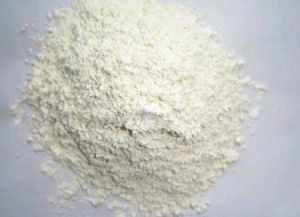 Dehydrated White Onion Powder