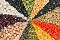 grains pulses