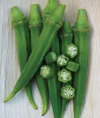 Hybrid Okra Seeds