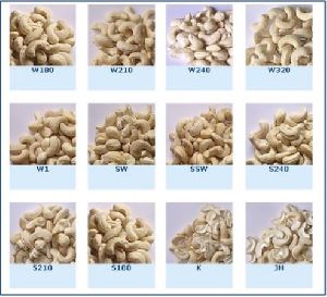 Processed Cashew kaju Nuts
