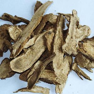 Marine Costus Root