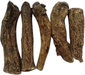 Saussurea Costus Root