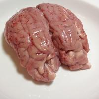 frozen mutton brain