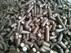 Bio Coal Briquettes