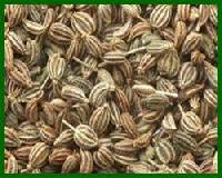 Ajwan Seeds