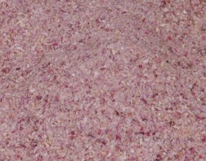 Dehydrated Red Onion Granules