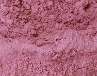 Dehydrated Red Onion Powder