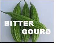 Bitter Gourd