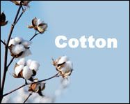 Cotton