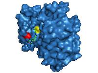 Gefitinib