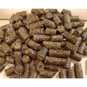 Energy Biomass Briquettes