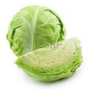 Fresh Cabbage