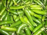 Fresh Green Chilli