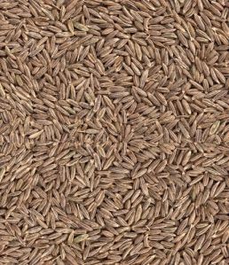 Cumin Seed Jeera