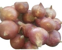 Nasik Onion