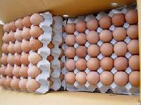 Fresh Poultry Eggs