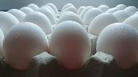 Poultry Eggs