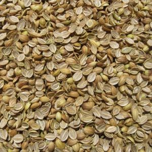 Split Coriander Seeds