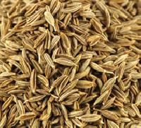 Cumin Seed