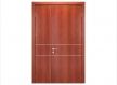 Wooden Finish Steel Doors