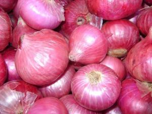 Fresh Onions