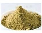 Coriander Powder