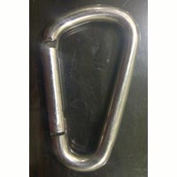 Ss Wire Snap Hook