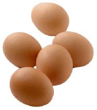 Brown Chicken Eggs
