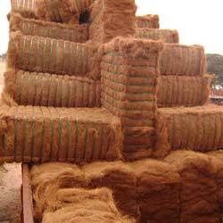 Coir Fiber