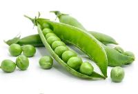 Fresh Green Peas