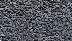 Black Sesame Seed