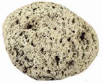 Pumice Stone