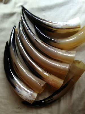 Drinking Horns