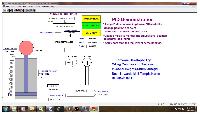 PID Control Demonstration