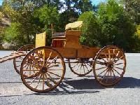 Horse Carriages And Wagon