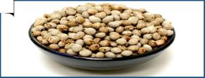 Tanzania Pigeon Peas