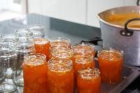 Apricot Jam