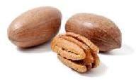 Pecan Nut